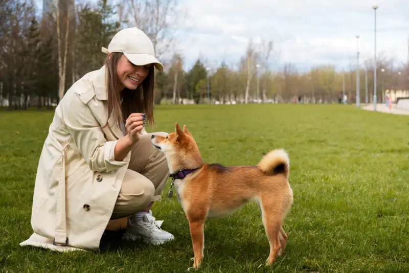 Puppy training in Columbia, MO