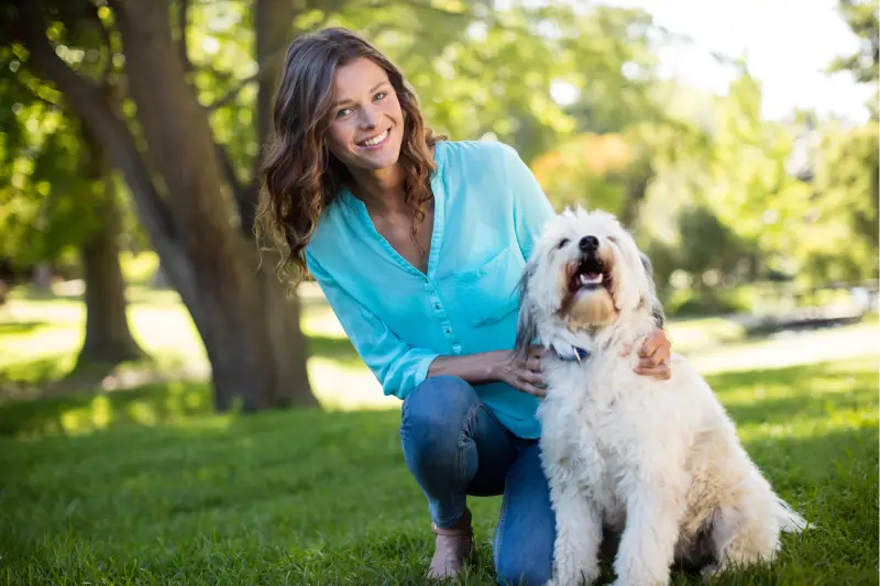 Training Hearts at Home: The Joy of In-Home Dog Training in Columbia, Missouri